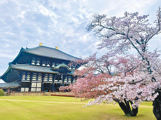 奈良市東大寺歷史悠久。