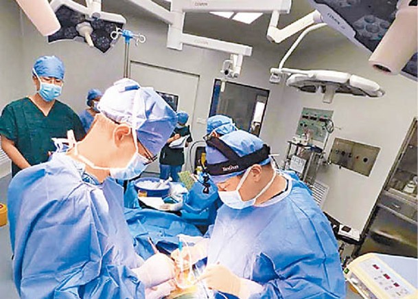 醫護人員將10基因編輯豬肝臟移植到患者右側肝窩內。