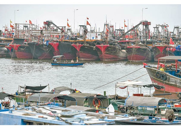 南海實施伏季休漁期，大批漁船回港口。