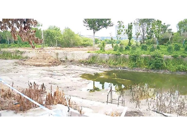 滁河南京浦口段突然被嚴重污染。