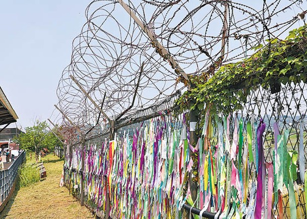 非軍事區附近設帶刺圍欄。（Getty Images圖片）