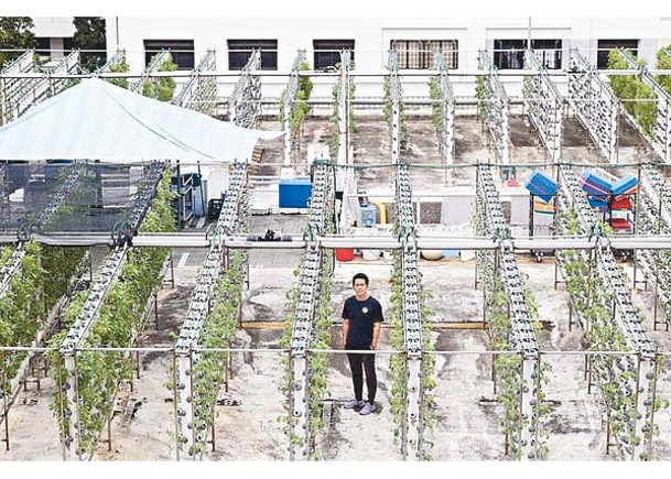 譚光勝開設商業農場。（新加坡《聯合早報》圖片）