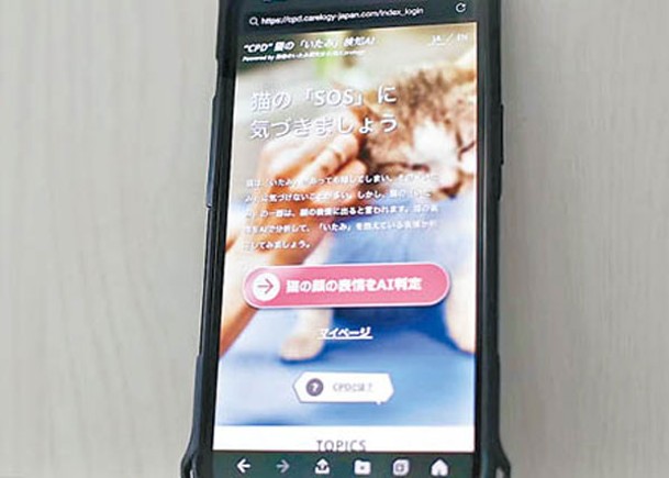 日本AI手機APP可察貓異樣  助揪健康隱患