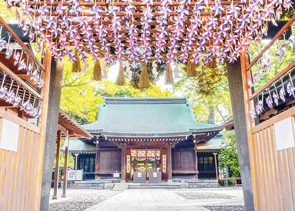 冰川神社600風車陣  扇葉轉動場景夢幻