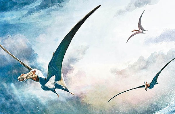 新發現的翼龍物種獲命名為「Haliskia peterseni」；圖為構想圖。
