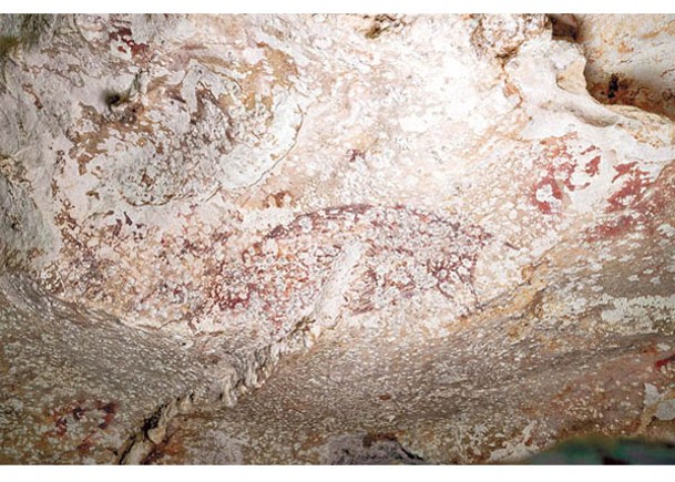 洞穴出土5萬年壁畫  世上最古老