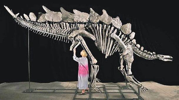 埃佩克斯成為史上最有價值的恐龍化石。