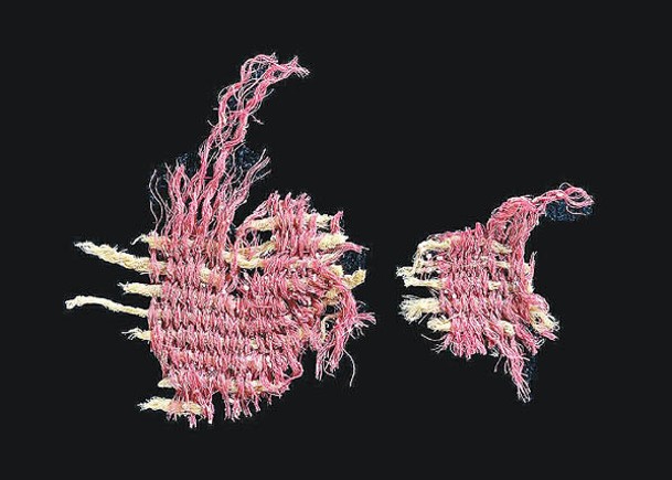 近4000年前織物碎片  證古代染色發展成熟