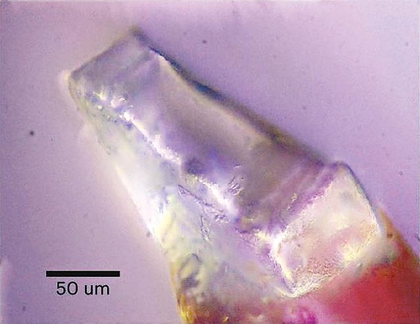 研究人員首次從月壤發現一種未知礦物晶體ULM-1富含水分子和銨。