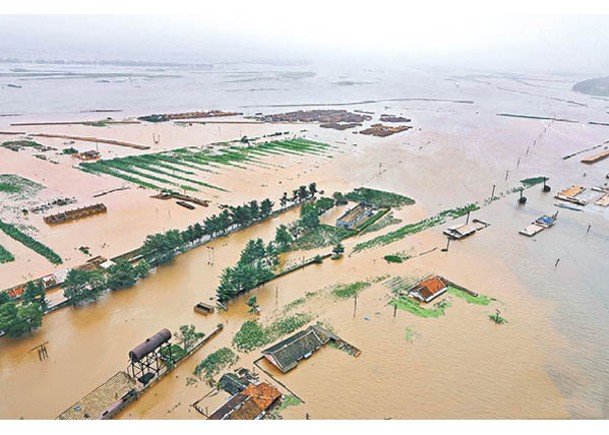 鴨綠江流域早前暴雨成災。