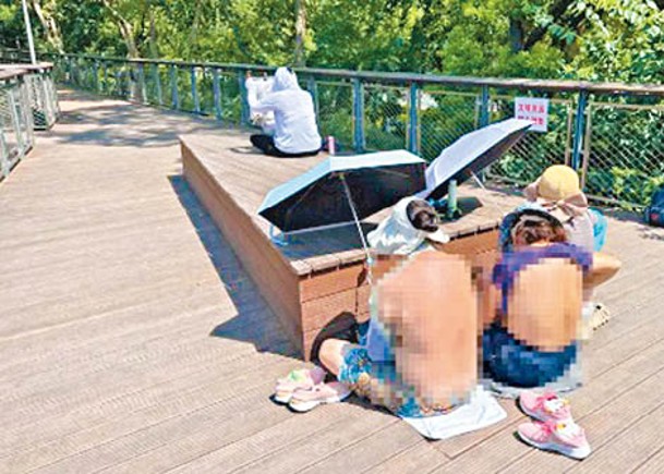 上海不少市民最近在多座公園撩起衣服曬背，行為惹議。