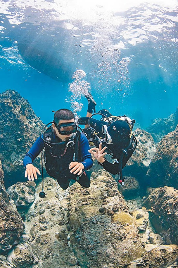 夏天是潛水旺季，教練帶遊客暢遊水底世界。