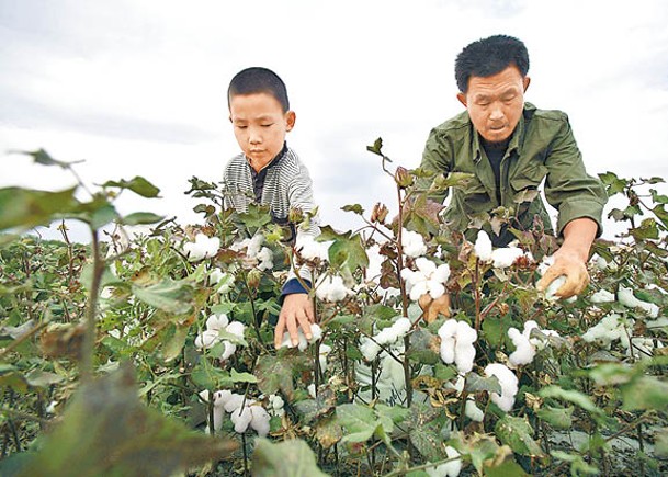 美再禁5華公司產品進口  包括港企