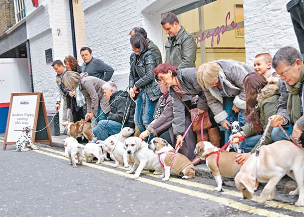 狗狗是人們飼養寵物的熱門選擇。（Getty Images圖片）