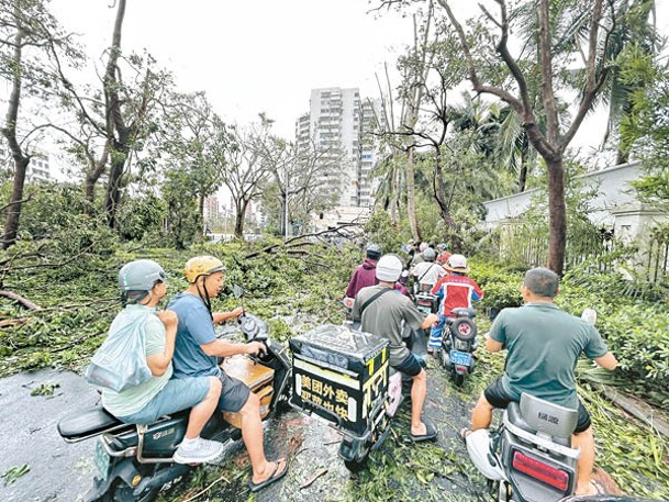 海南海口：路上隨處可見倒下的樹木。