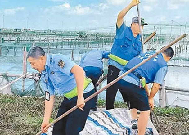 陽澄湖設施受損  蟹農獲指導復產