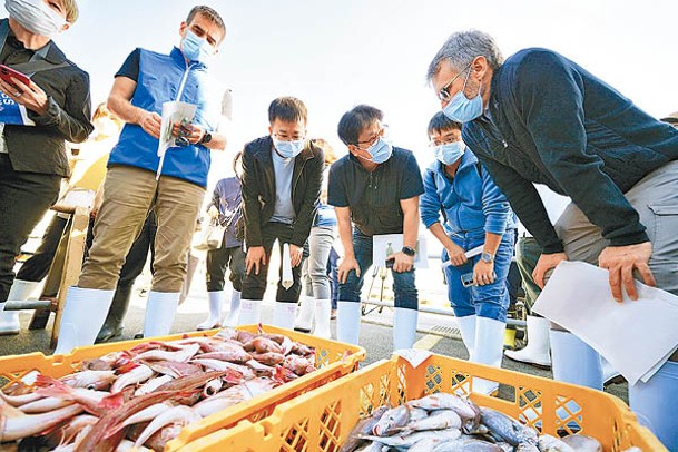 專家赴日檢測日本海產安全性。