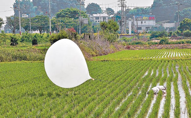 垃圾氣球降落仁川。