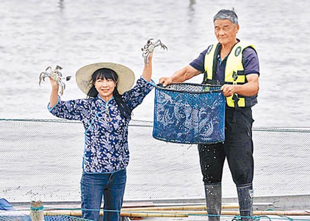 蟹農將大閘蟹從湖中捕撈上岸。