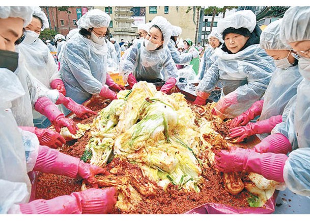 大白菜是製作泡菜的重要食材。