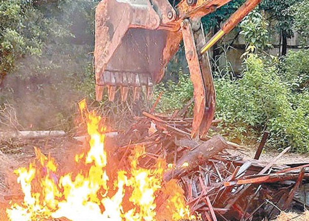 越兩動物園爆禽流  逾50猛獸亡