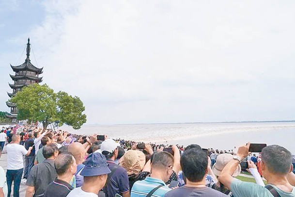 浙江海寧鹽官每年吸引不少遊客前往觀賞錢塘江潮水。