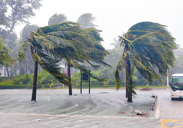 受潭美影響，海南永興島迎來狂風暴雨，路邊的椰子樹葉片被吹折。