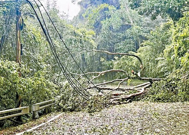 康妮襲台3死515傷  83萬戶停電未全復常