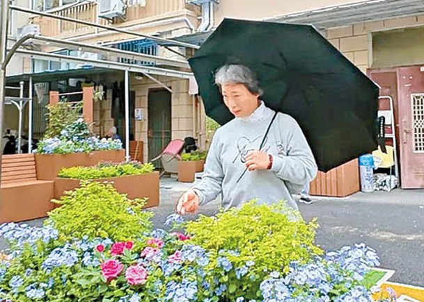 共享花園色彩繽紛  吸引民眾駐足觀賞