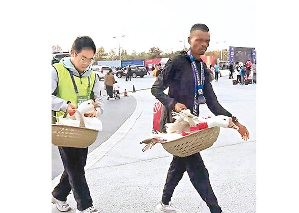 跑贏馬拉松獲活鵝  非洲選手即場出售