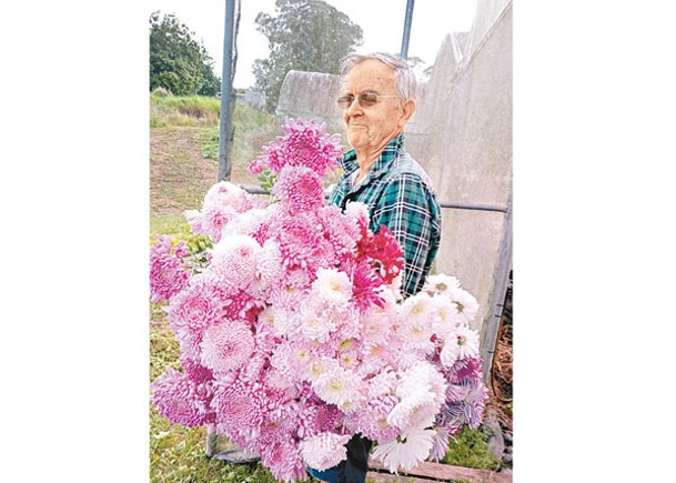 鮮花滯銷曾欲棄栽種  花農獲社區支持重拾信心