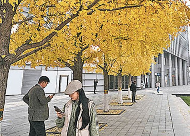 內地11月平均5.1 ℃  創同期新高