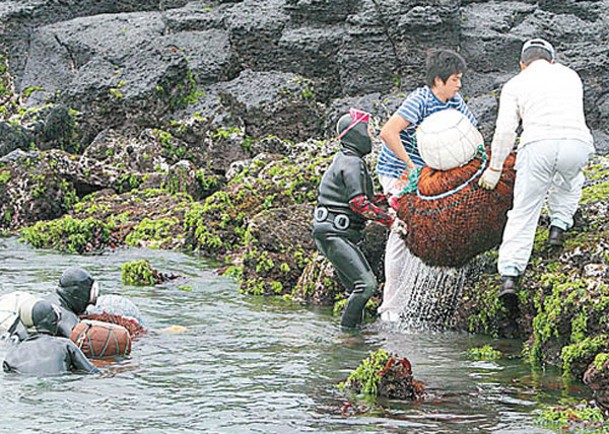 中國MZ世代遊客熱衷體驗濟州島傳統文化。