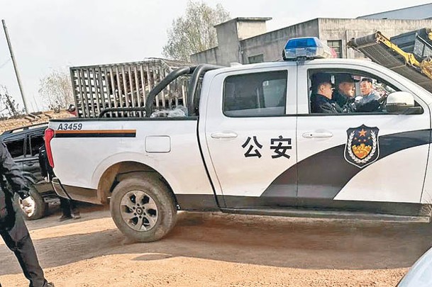 警車車廂內有捕獲的犬隻。