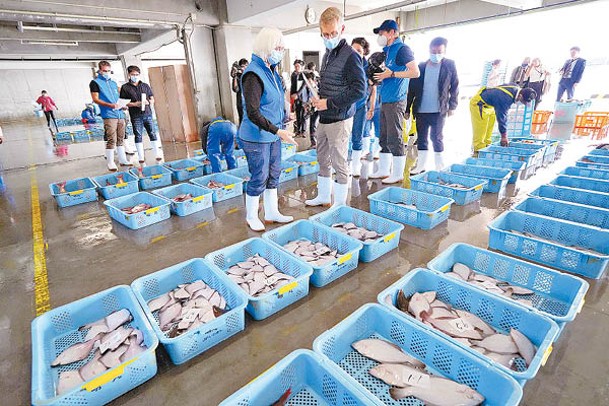 多國專家檢測日本水產。