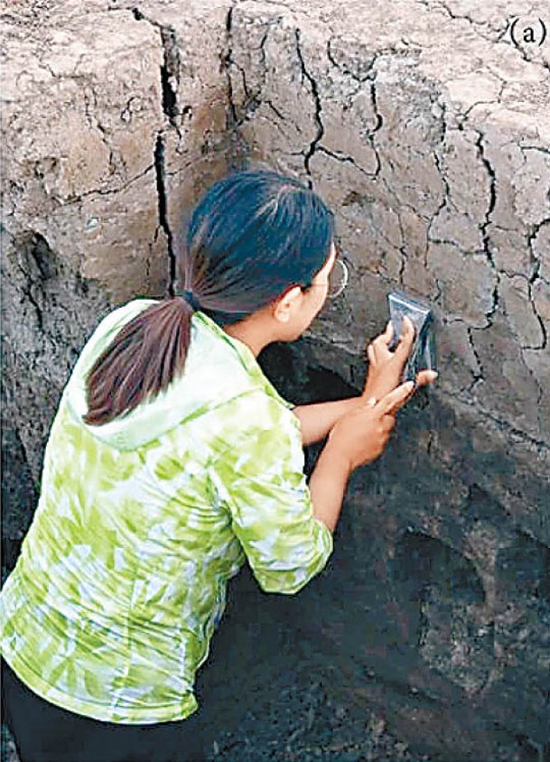 考古團隊觀察湖北當陽九里崗遺址東壁剖面壩體土壤微形態。