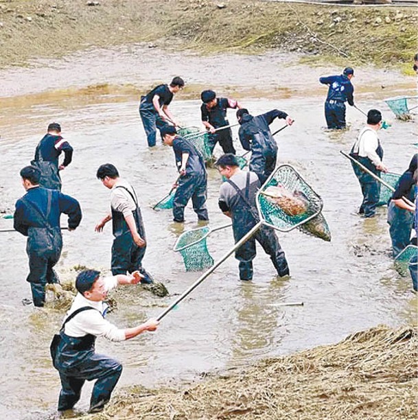 師生集體下水捕魚。