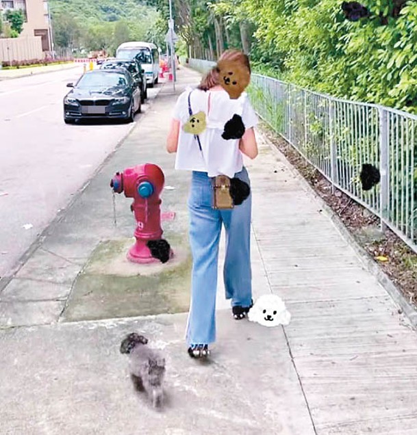 蔡嘉欣任由愛犬在馬路邊隨意行，被指好易出事。