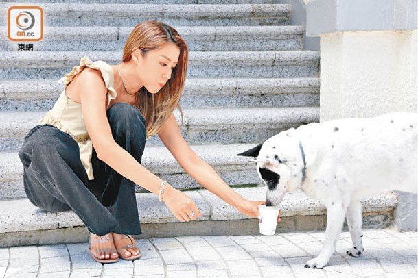 陳逸璇不時給愛犬飲水，果然是貼心的主人。