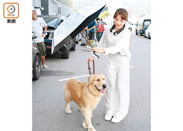 被周嘉洛笑「狗樣」  林夏薇3愛犬攬住瞓  老公讓路