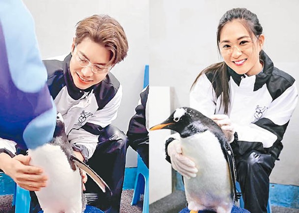 羅天宇與陳懿德同樣上載親親企鵝的照片。