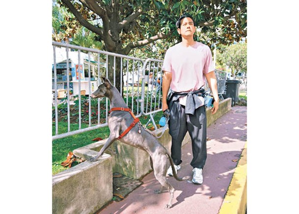 彭于晏帶住狗狗漫步街頭，悠閒舒適。