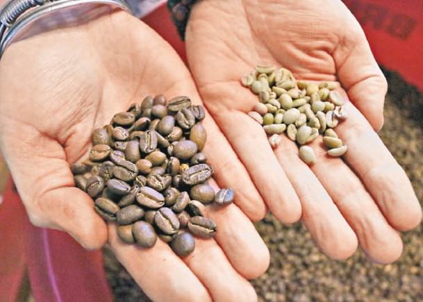 咖啡豆收成挫 3個月貴30%