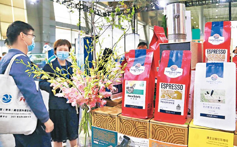雲南咖啡生豆價格曾跌至貼近成本。