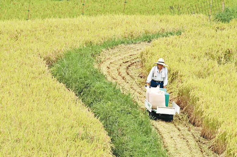 從事務農等14類指定行業，可申請「特定技能簽證」在日本居住。