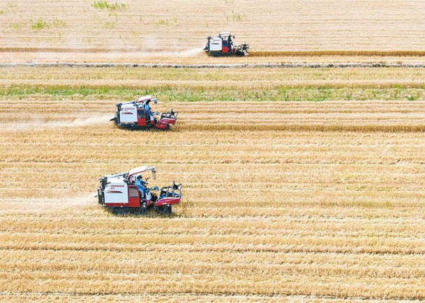 俄烏戰火掀危機 穀物缺口兩千萬噸