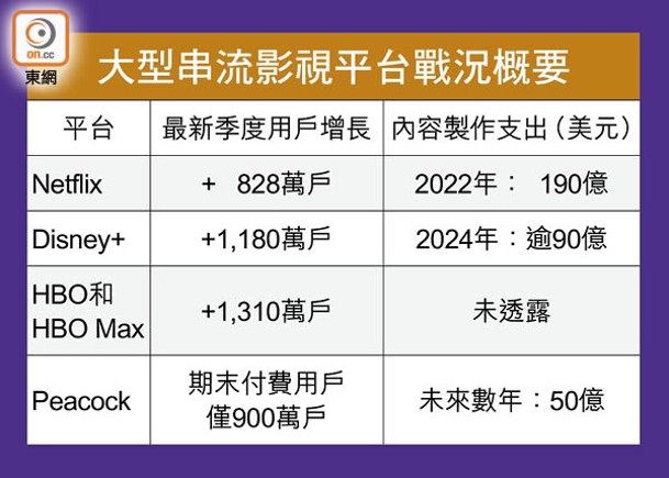 大型串流影視平台戰況概要