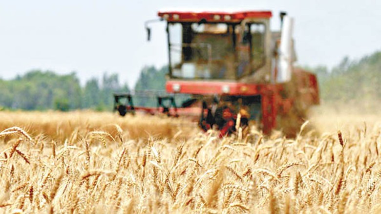 俄羅斯與烏克蘭供應全球約三分之一小麥。