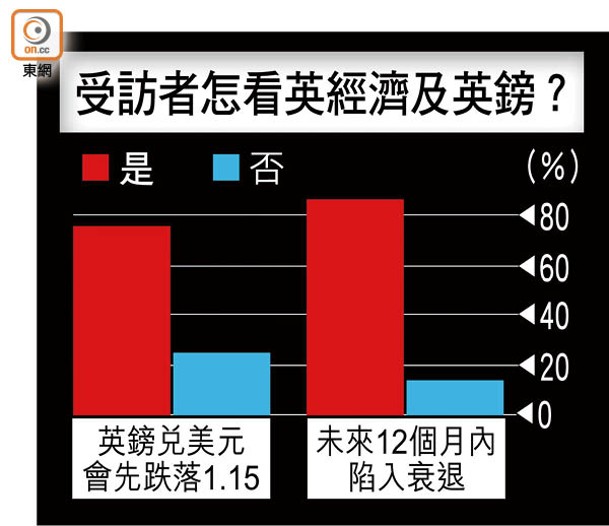 受訪者怎看英經濟及英鎊？