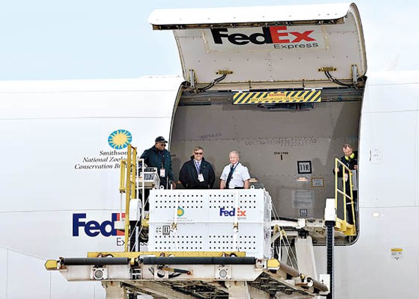 FedEx及DHL明年加價 波音計劃裁減職位